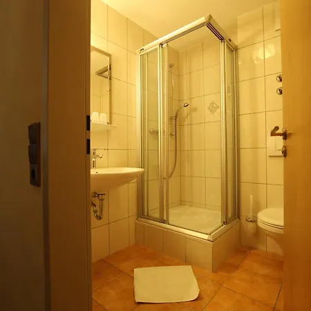 Hotel-gasthof Hirschen 호텔